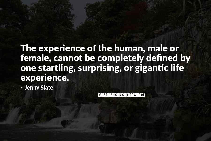 Jenny Slate Quotes: The experience of the human, male or female, cannot be completely defined by one startling, surprising, or gigantic life experience.