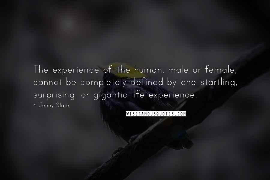 Jenny Slate Quotes: The experience of the human, male or female, cannot be completely defined by one startling, surprising, or gigantic life experience.