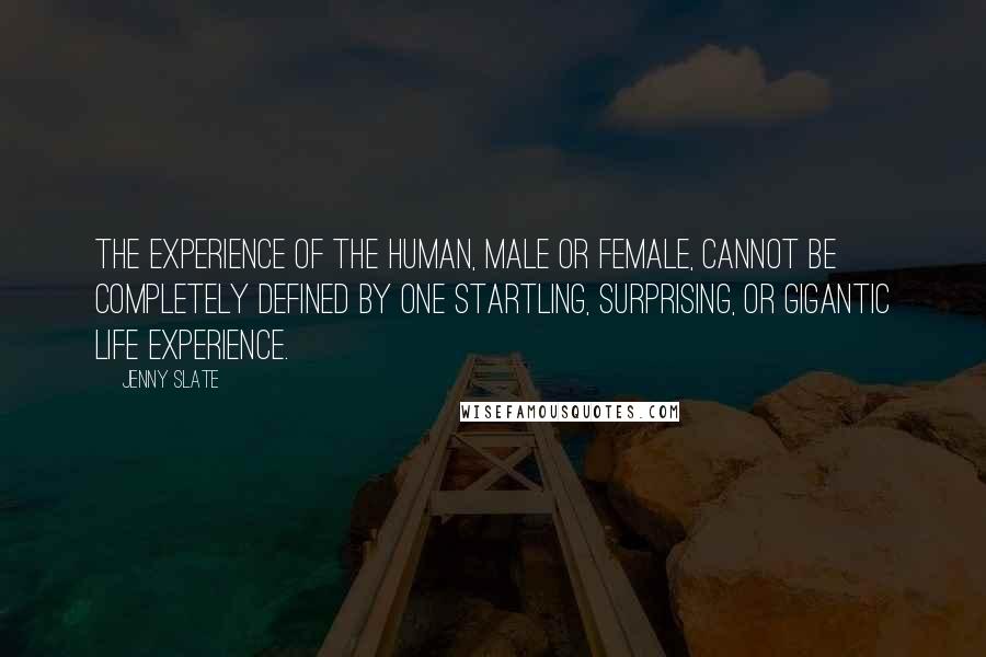 Jenny Slate Quotes: The experience of the human, male or female, cannot be completely defined by one startling, surprising, or gigantic life experience.