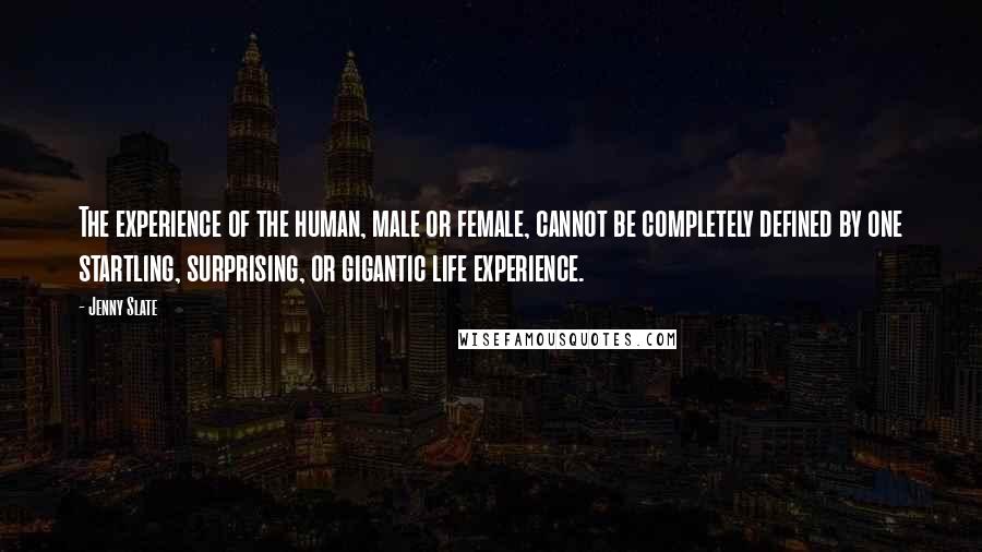 Jenny Slate Quotes: The experience of the human, male or female, cannot be completely defined by one startling, surprising, or gigantic life experience.