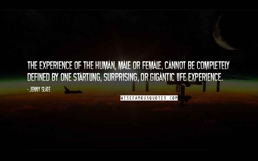 Jenny Slate Quotes: The experience of the human, male or female, cannot be completely defined by one startling, surprising, or gigantic life experience.