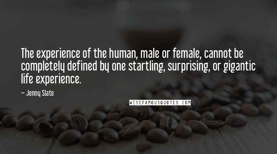 Jenny Slate Quotes: The experience of the human, male or female, cannot be completely defined by one startling, surprising, or gigantic life experience.