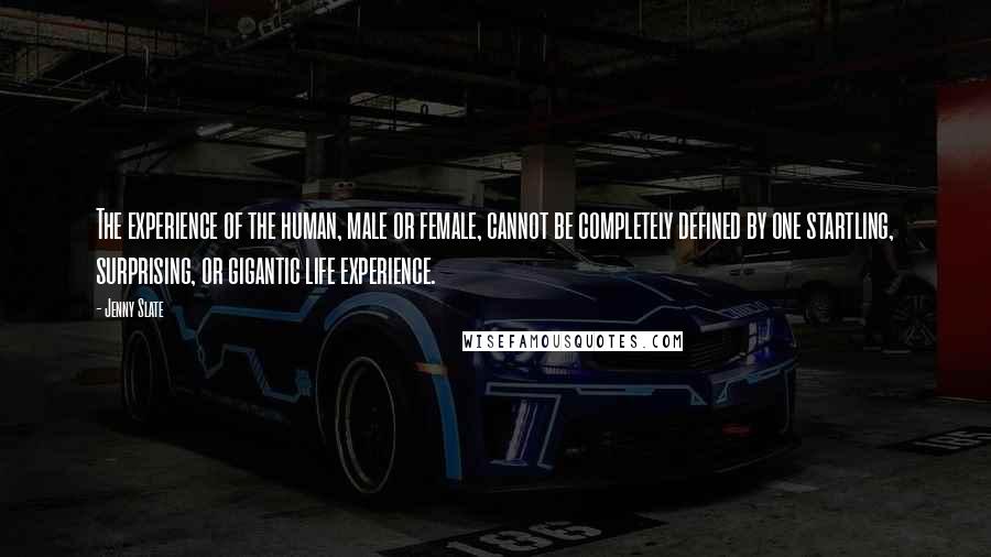 Jenny Slate Quotes: The experience of the human, male or female, cannot be completely defined by one startling, surprising, or gigantic life experience.