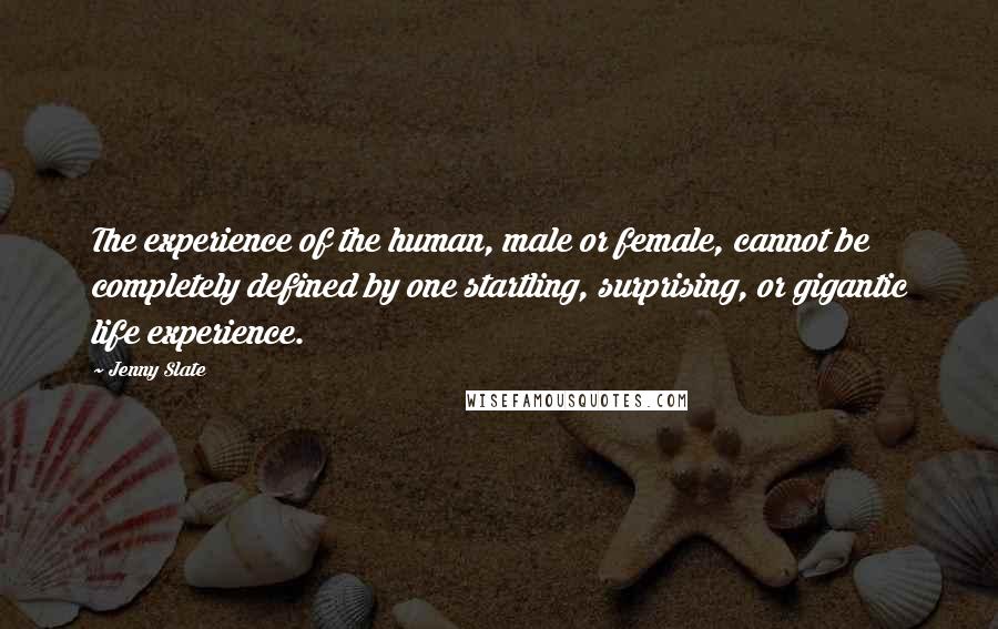 Jenny Slate Quotes: The experience of the human, male or female, cannot be completely defined by one startling, surprising, or gigantic life experience.