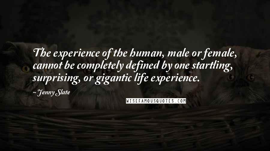 Jenny Slate Quotes: The experience of the human, male or female, cannot be completely defined by one startling, surprising, or gigantic life experience.