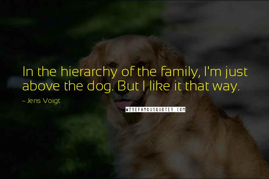 Jens Voigt Quotes: In the hierarchy of the family, I'm just above the dog. But I like it that way.
