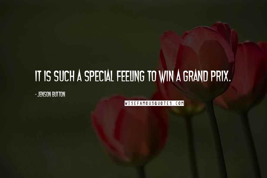 Jenson Button Quotes: It is such a special feeling to win a grand prix.