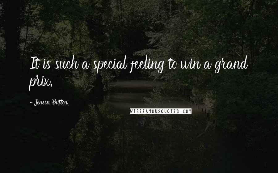 Jenson Button Quotes: It is such a special feeling to win a grand prix.