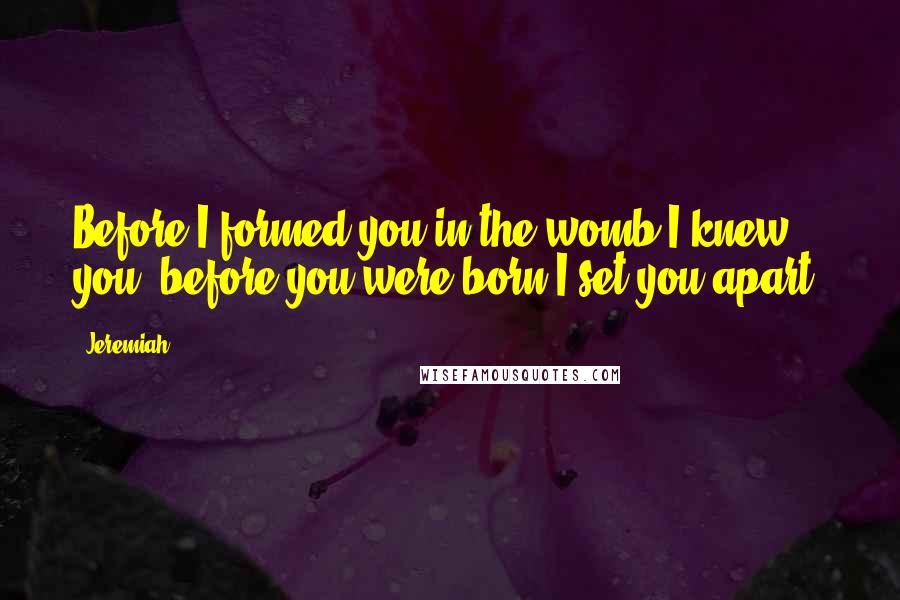 Jeremiah Quotes: Before I formed you in the womb I knew you, before you were born I set you apart.