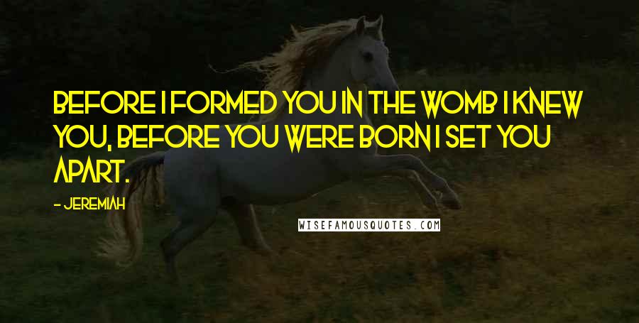 Jeremiah Quotes: Before I formed you in the womb I knew you, before you were born I set you apart.