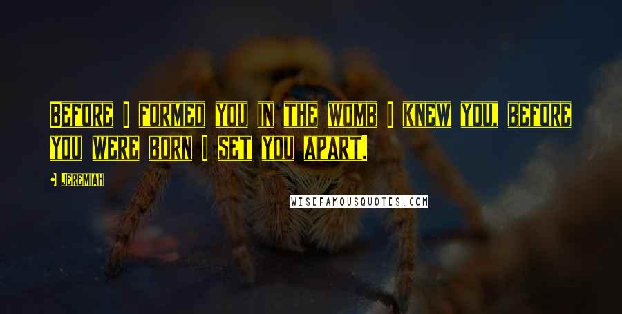 Jeremiah Quotes: Before I formed you in the womb I knew you, before you were born I set you apart.