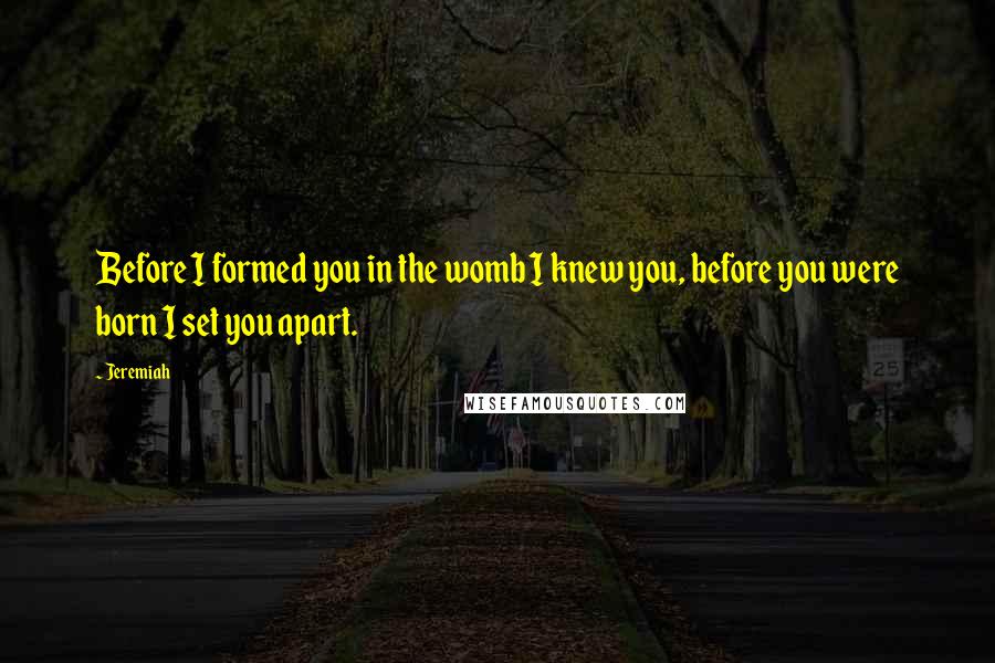 Jeremiah Quotes: Before I formed you in the womb I knew you, before you were born I set you apart.