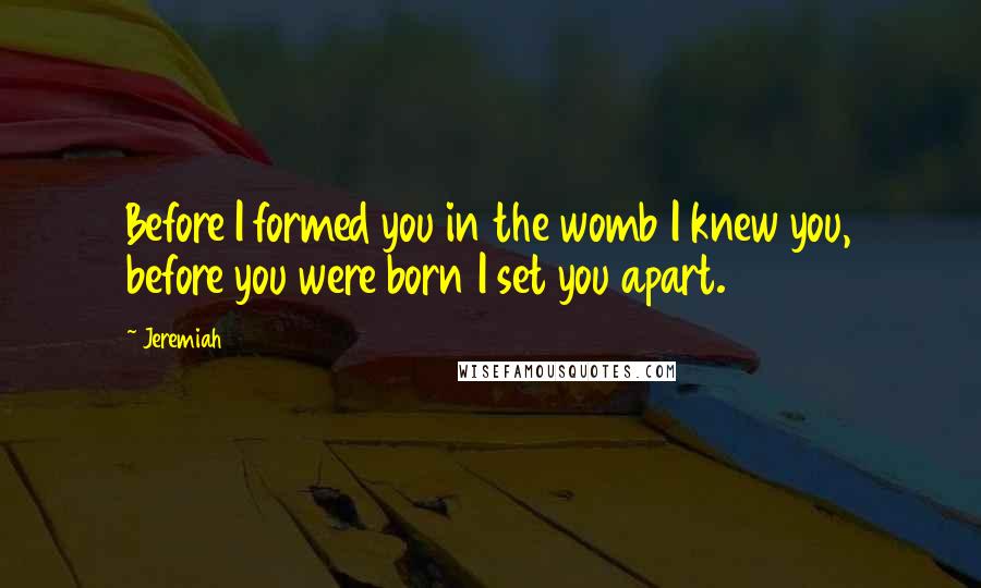 Jeremiah Quotes: Before I formed you in the womb I knew you, before you were born I set you apart.