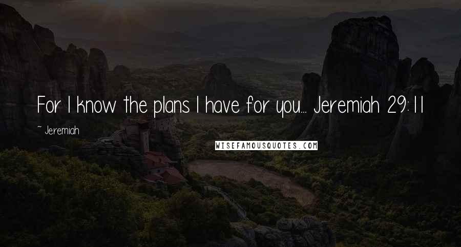 Jeremiah Quotes: For I know the plans I have for you... Jeremiah 29:11