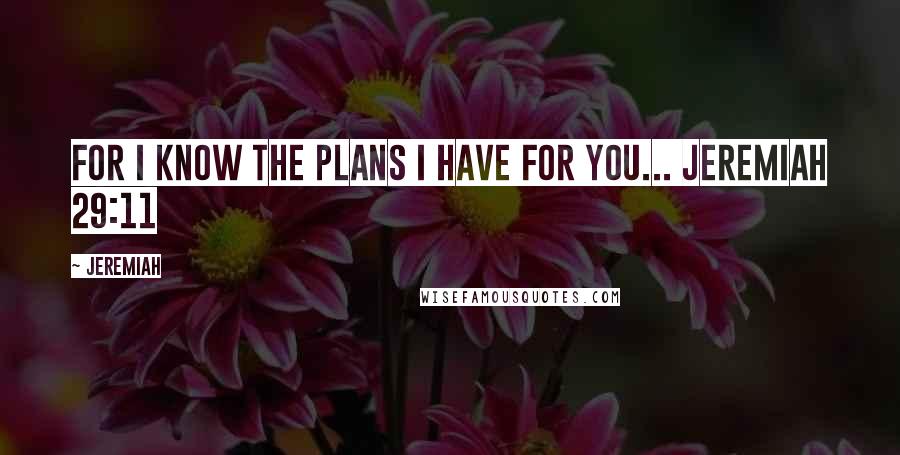 Jeremiah Quotes: For I know the plans I have for you... Jeremiah 29:11