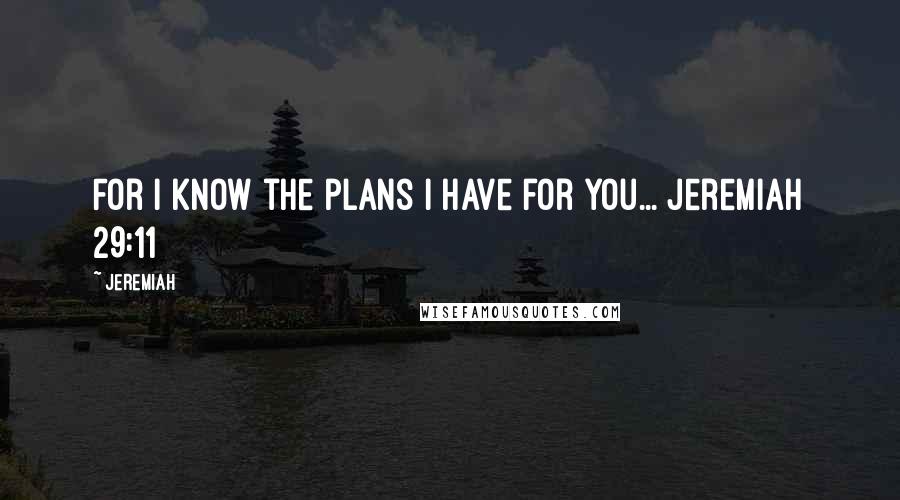 Jeremiah Quotes: For I know the plans I have for you... Jeremiah 29:11