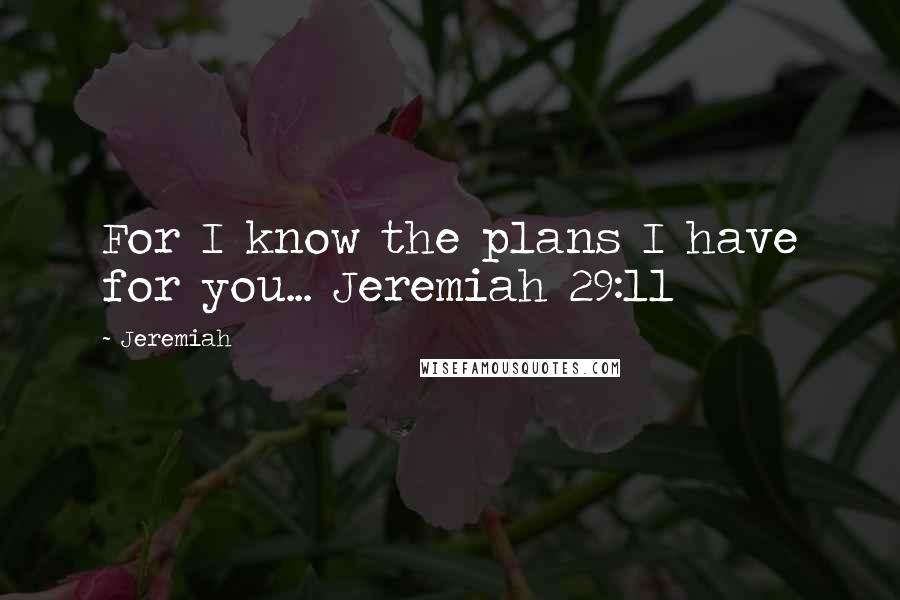 Jeremiah Quotes: For I know the plans I have for you... Jeremiah 29:11