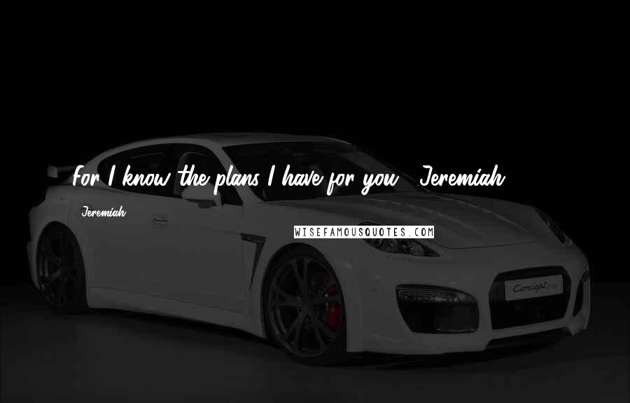 Jeremiah Quotes: For I know the plans I have for you... Jeremiah 29:11