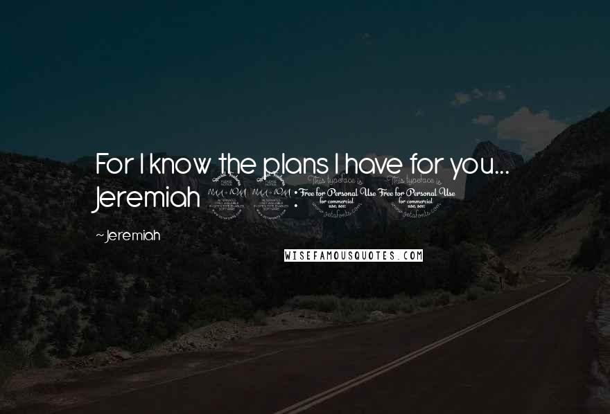 Jeremiah Quotes: For I know the plans I have for you... Jeremiah 29:11