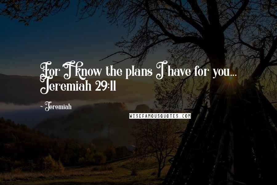 Jeremiah Quotes: For I know the plans I have for you... Jeremiah 29:11