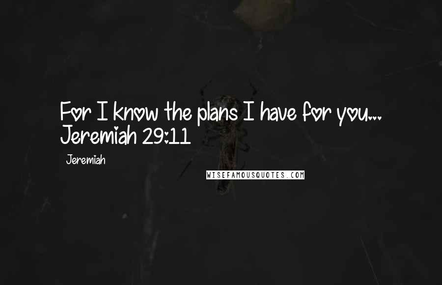 Jeremiah Quotes: For I know the plans I have for you... Jeremiah 29:11
