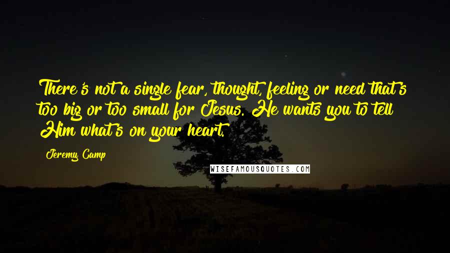 Jeremy Camp Quotes: There's not a single fear, thought, feeling or need that's too big or too small for Jesus. He wants you to tell Him what's on your heart.