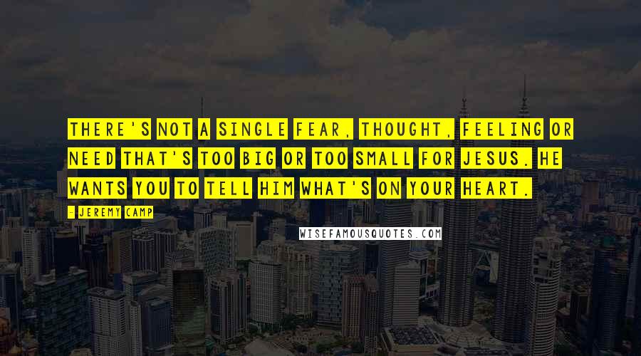 Jeremy Camp Quotes: There's not a single fear, thought, feeling or need that's too big or too small for Jesus. He wants you to tell Him what's on your heart.