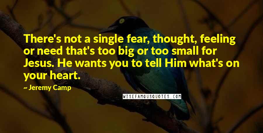 Jeremy Camp Quotes: There's not a single fear, thought, feeling or need that's too big or too small for Jesus. He wants you to tell Him what's on your heart.