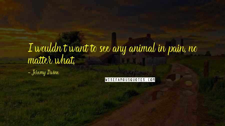 Jeremy Irvine Quotes: I wouldn't want to see any animal in pain, no matter what.