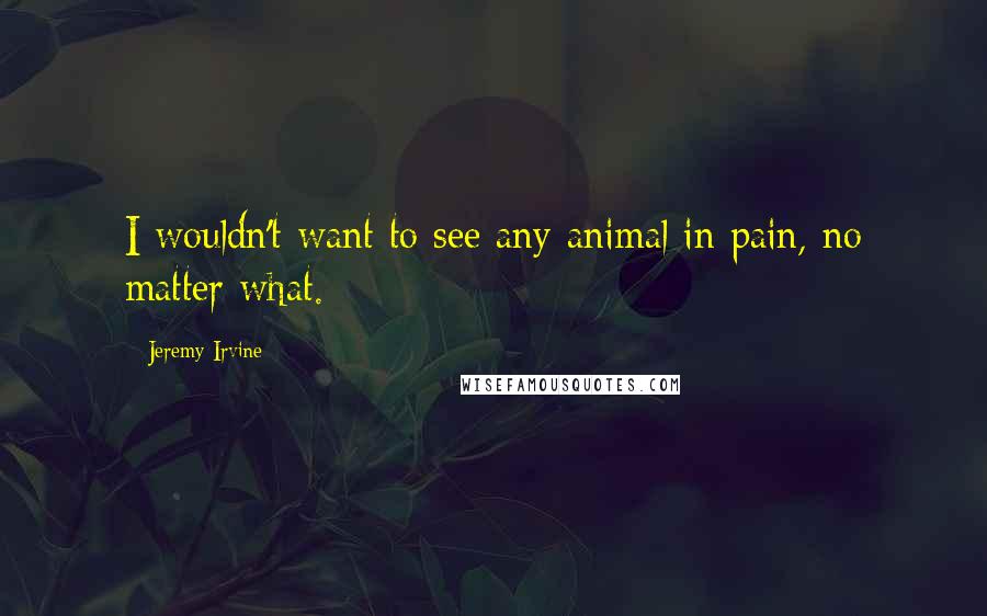 Jeremy Irvine Quotes: I wouldn't want to see any animal in pain, no matter what.