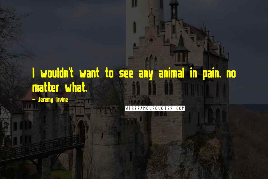 Jeremy Irvine Quotes: I wouldn't want to see any animal in pain, no matter what.