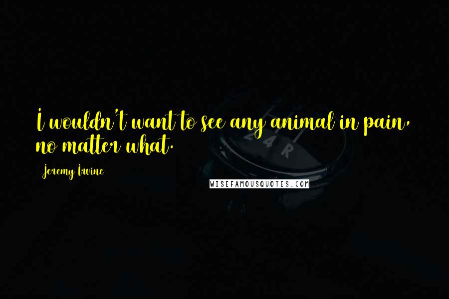 Jeremy Irvine Quotes: I wouldn't want to see any animal in pain, no matter what.