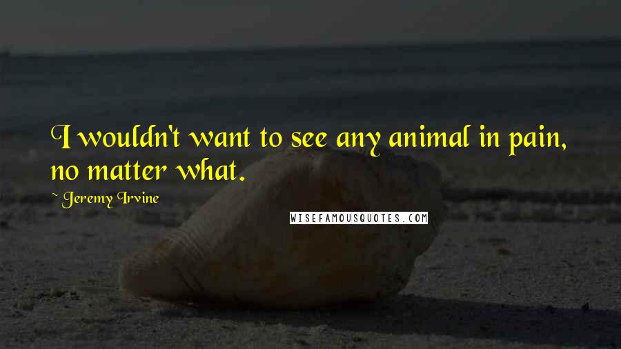 Jeremy Irvine Quotes: I wouldn't want to see any animal in pain, no matter what.