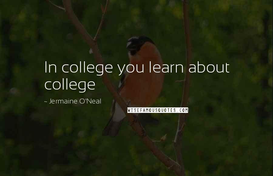 Jermaine O'Neal Quotes: In college you learn about college