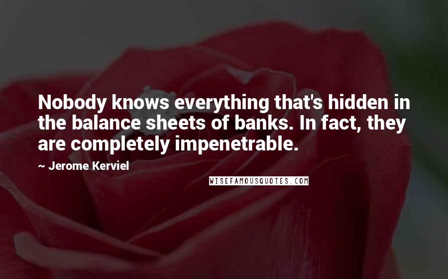 Jerome Kerviel Quotes: Nobody knows everything that's hidden in the balance sheets of banks. In fact, they are completely impenetrable.