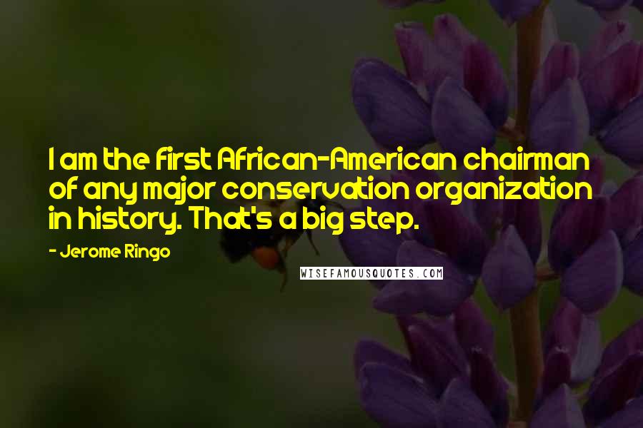 Jerome Ringo Quotes: I am the first African-American chairman of any major conservation organization in history. That's a big step.