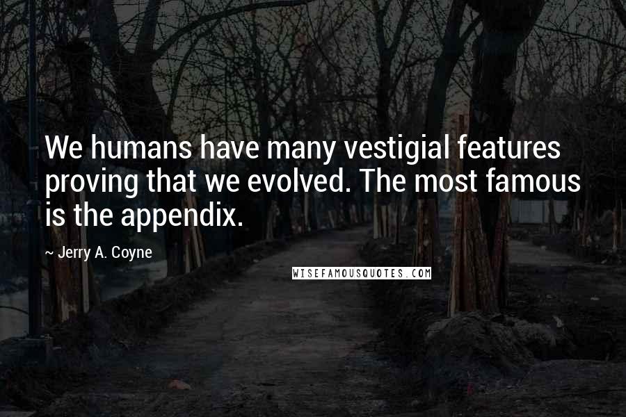 Jerry A. Coyne Quotes: We humans have many vestigial features proving that we evolved. The most famous is the appendix.