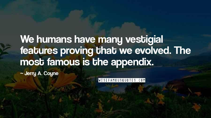 Jerry A. Coyne Quotes: We humans have many vestigial features proving that we evolved. The most famous is the appendix.