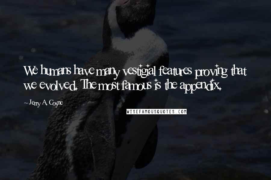 Jerry A. Coyne Quotes: We humans have many vestigial features proving that we evolved. The most famous is the appendix.