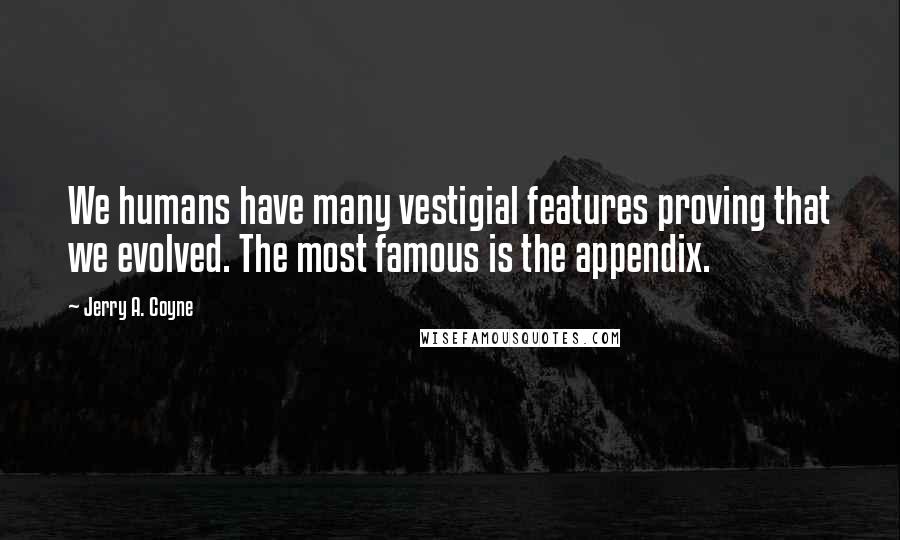 Jerry A. Coyne Quotes: We humans have many vestigial features proving that we evolved. The most famous is the appendix.