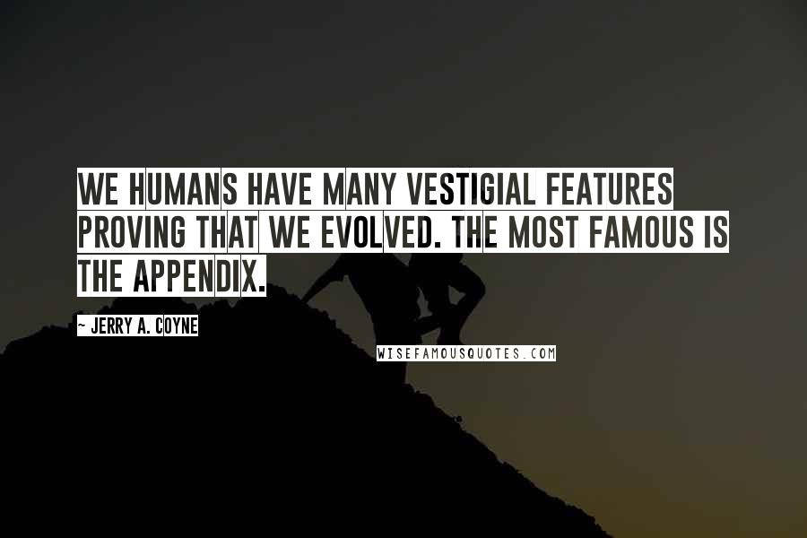 Jerry A. Coyne Quotes: We humans have many vestigial features proving that we evolved. The most famous is the appendix.