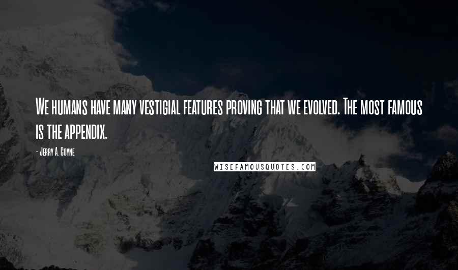 Jerry A. Coyne Quotes: We humans have many vestigial features proving that we evolved. The most famous is the appendix.