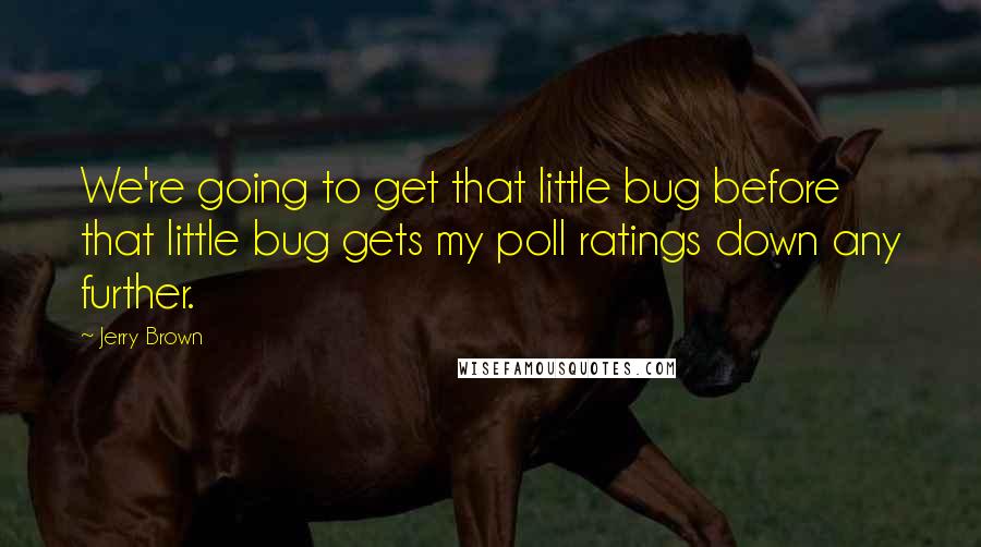 Jerry Brown Quotes: We're going to get that little bug before that little bug gets my poll ratings down any further.