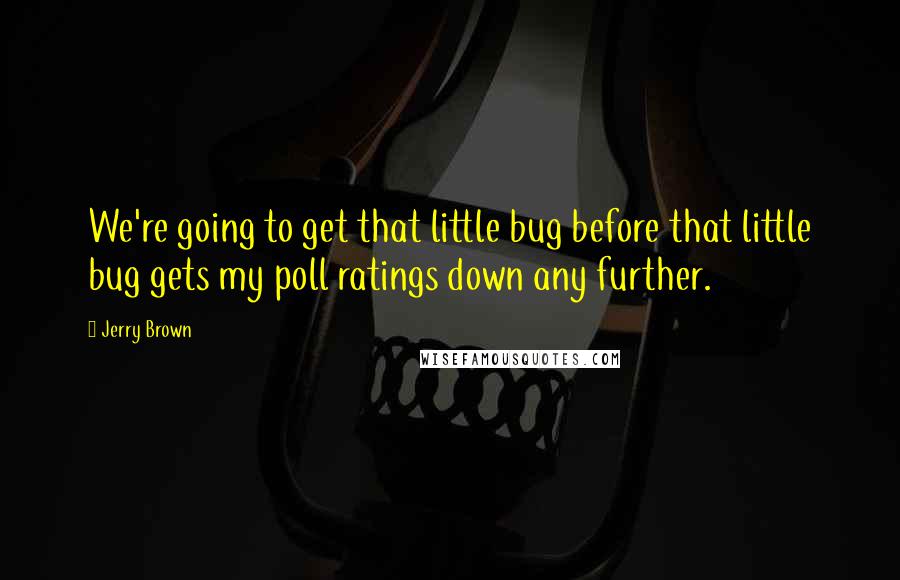 Jerry Brown Quotes: We're going to get that little bug before that little bug gets my poll ratings down any further.