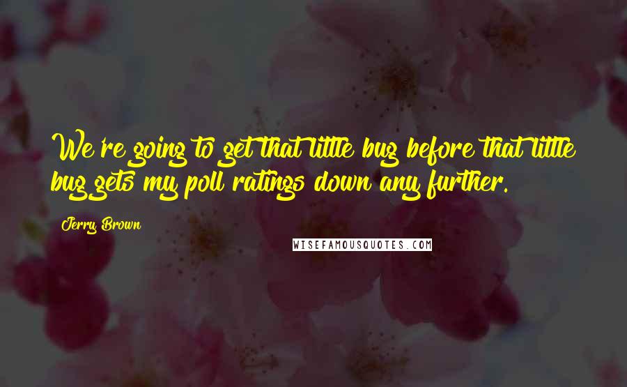 Jerry Brown Quotes: We're going to get that little bug before that little bug gets my poll ratings down any further.