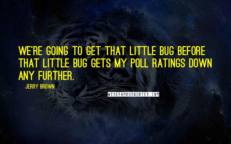 Jerry Brown Quotes: We're going to get that little bug before that little bug gets my poll ratings down any further.