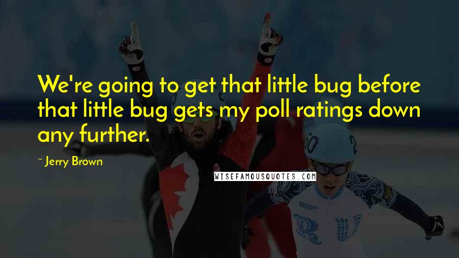 Jerry Brown Quotes: We're going to get that little bug before that little bug gets my poll ratings down any further.