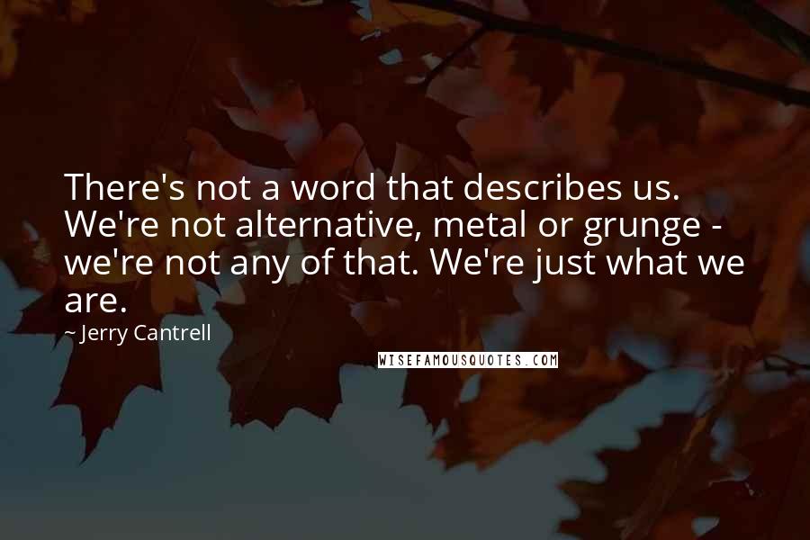 Jerry Cantrell Quotes: There's not a word that describes us. We're not alternative, metal or grunge - we're not any of that. We're just what we are.