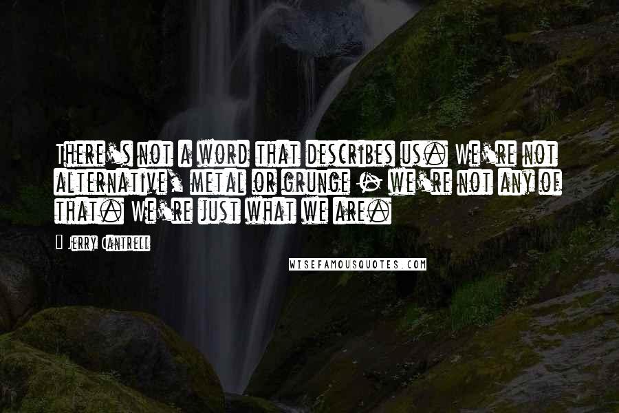 Jerry Cantrell Quotes: There's not a word that describes us. We're not alternative, metal or grunge - we're not any of that. We're just what we are.