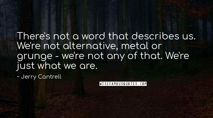 Jerry Cantrell Quotes: There's not a word that describes us. We're not alternative, metal or grunge - we're not any of that. We're just what we are.